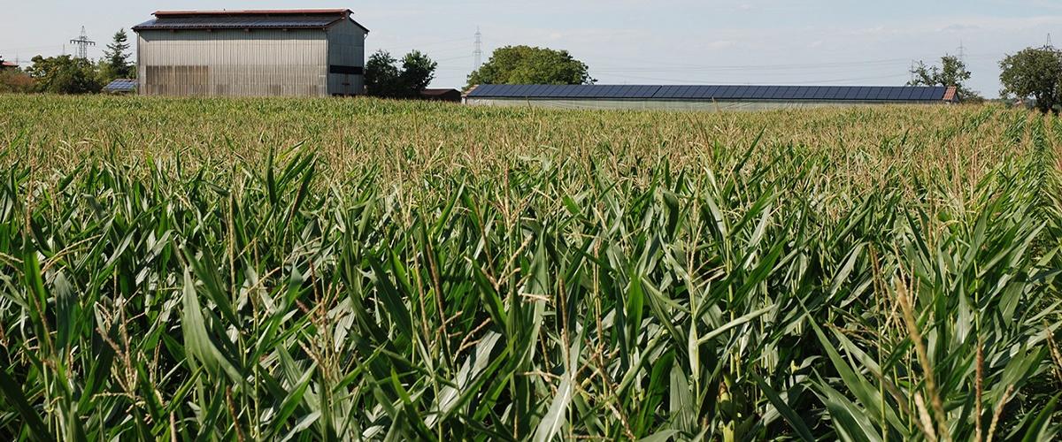 Solaranlagen Sembach « Bechtold☀️Solar » - Photovoltaik, Stromspeicher